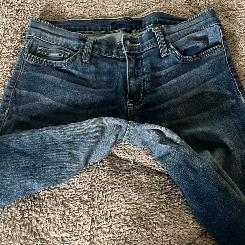 Flying monkey - Picture 8 of 8